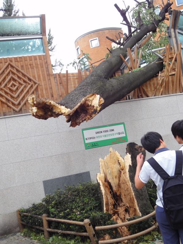 [DSC-WX1] 008.jpg